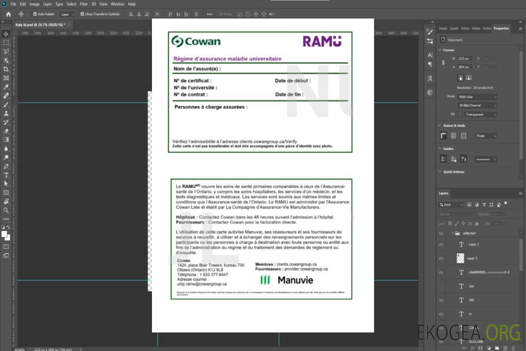 Carte d'assurance maladie du Burkina Faso template